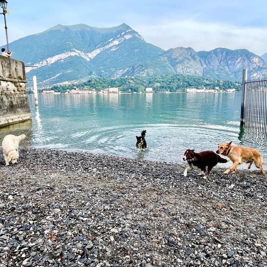 Appartamenti Casa Lory Bellagio Esterno foto